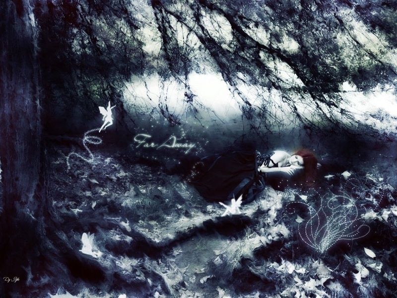 Dunkler Wald in Blautönen mit kleinen Feen und dem Schriftzug „Far Away“