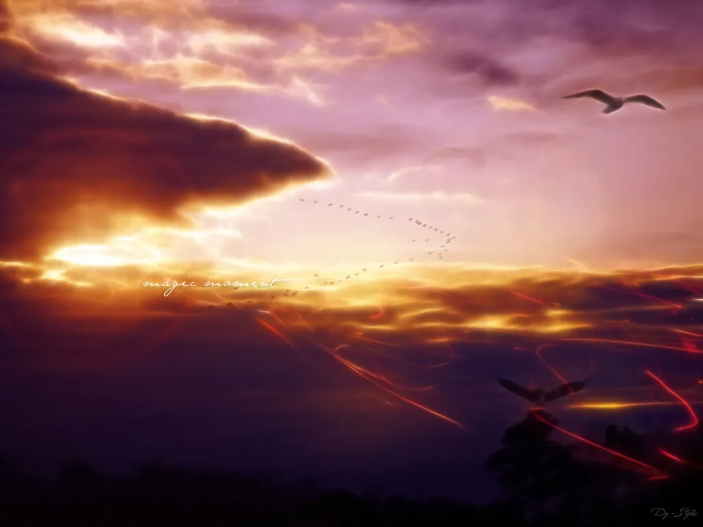 Wolkenmeer im Abendrot mit fliegenden Vögeln